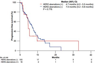 HER2 Aberrations as a Novel Marker in Advanced Biliary Tract Cancer